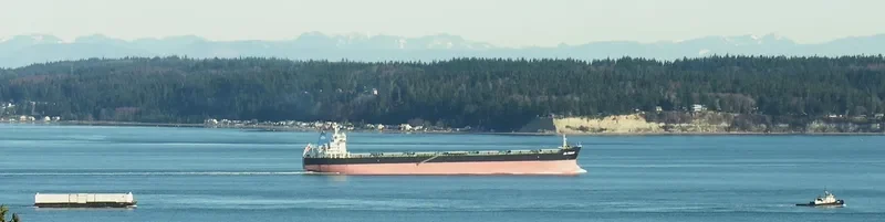 SHANNON General Cargo IMO 5321784 photo 8