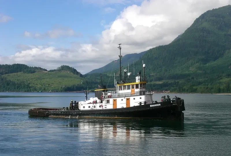 SHANNON General Cargo IMO 5321784 photo 9