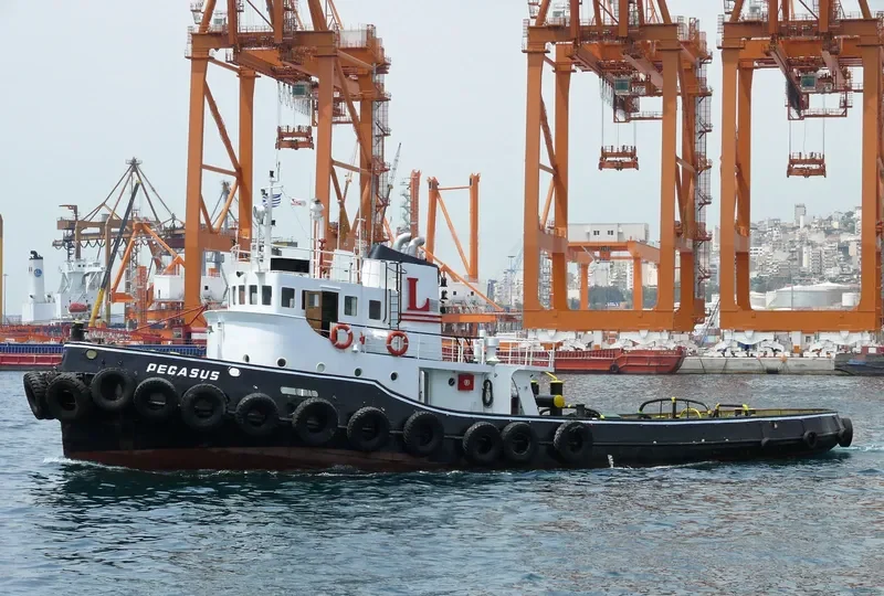 PEGASUS General Cargo IMO 5328861 photo 2