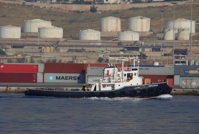 PEGASUS General Cargo IMO 5328861 photo 5