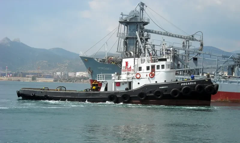 PEGASUS General Cargo IMO 5328861 photo 6