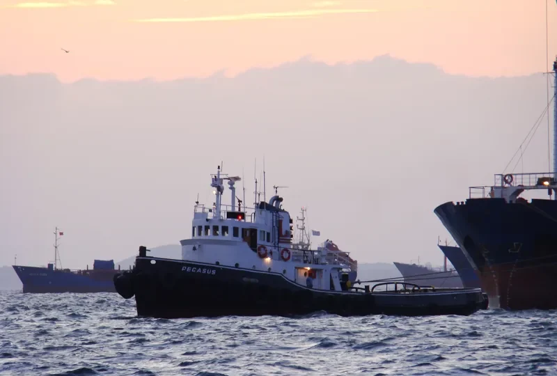 PEGASUS General Cargo IMO 5328861 photo 8