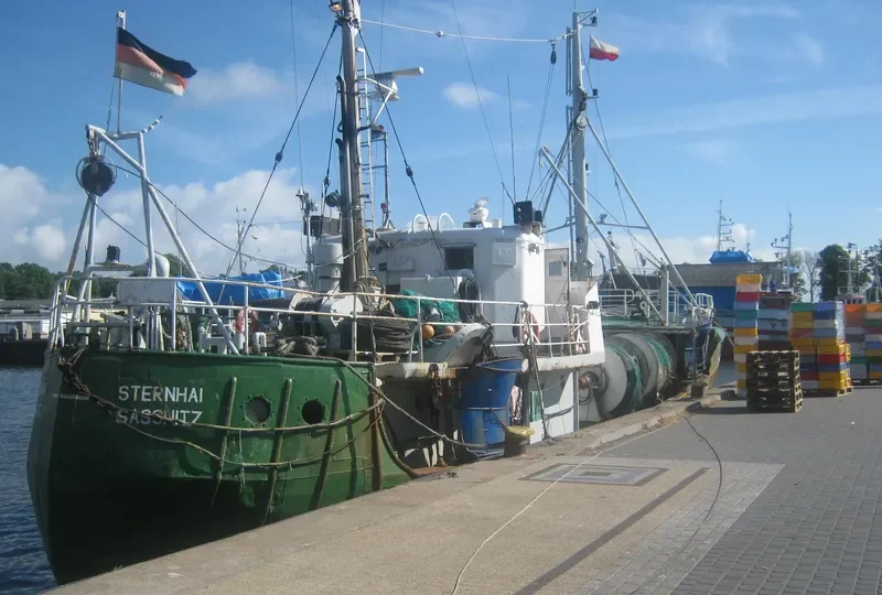 SEA EYE General Cargo IMO 5340871 photo 4