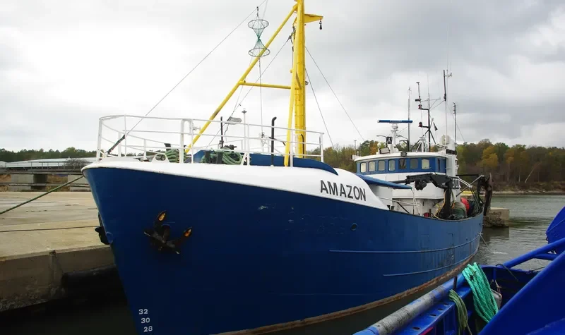 AMAZON General Cargo IMO 5341112 photo 2