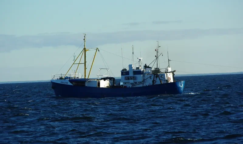 AMAZON General Cargo IMO 5341112 photo 4