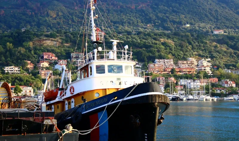 STRENUUS General Cargo IMO 5342427 photo 2
