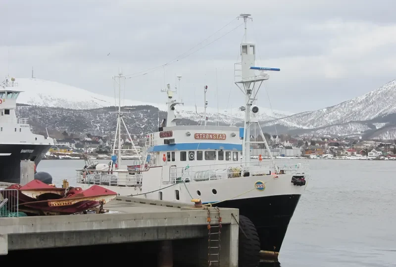 STRONSTAD Passenger Ship IMO 5342518
