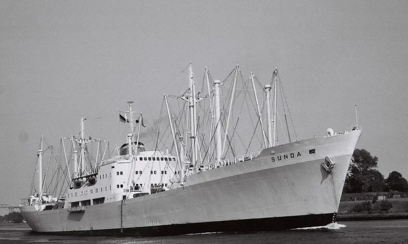 RAYEVERETT General Cargo IMO 5344671