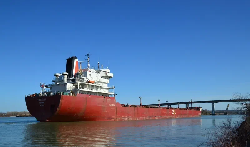 OAKGLEN Bulk Carrier IMO 5347996