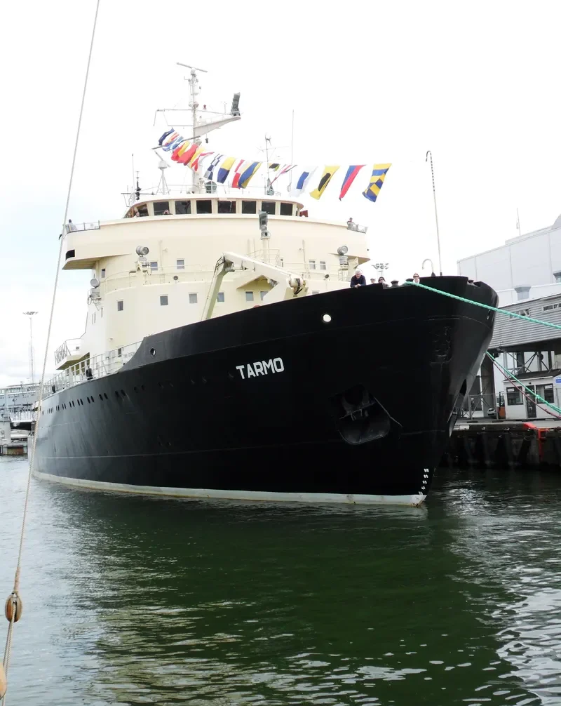 TARMO General Cargo IMO 5352886 photo 7