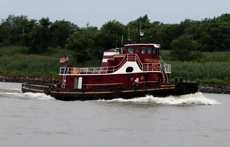 TERESA MCALLISTER General Cargo IMO 5355955 photo 5