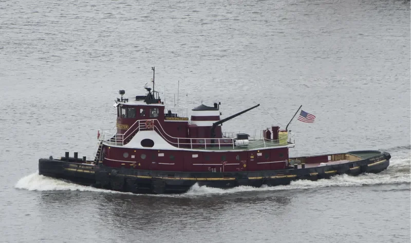 TERESA MCALLISTER General Cargo IMO 5355955 photo 8
