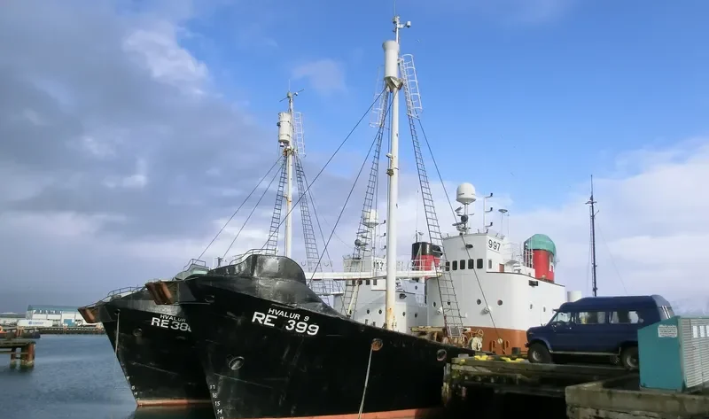 HVALUR 9 General Cargo IMO 5361148 photo 8
