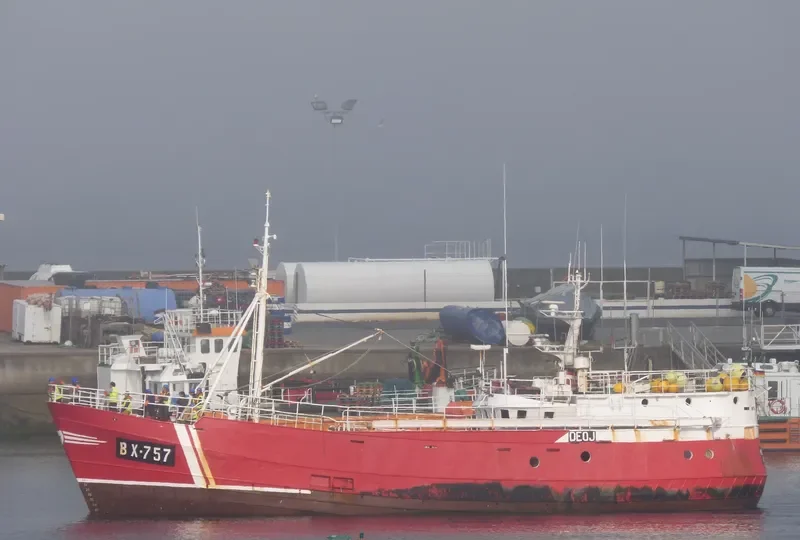 PESORSA CUATRO General Cargo IMO 5364932 photo 2