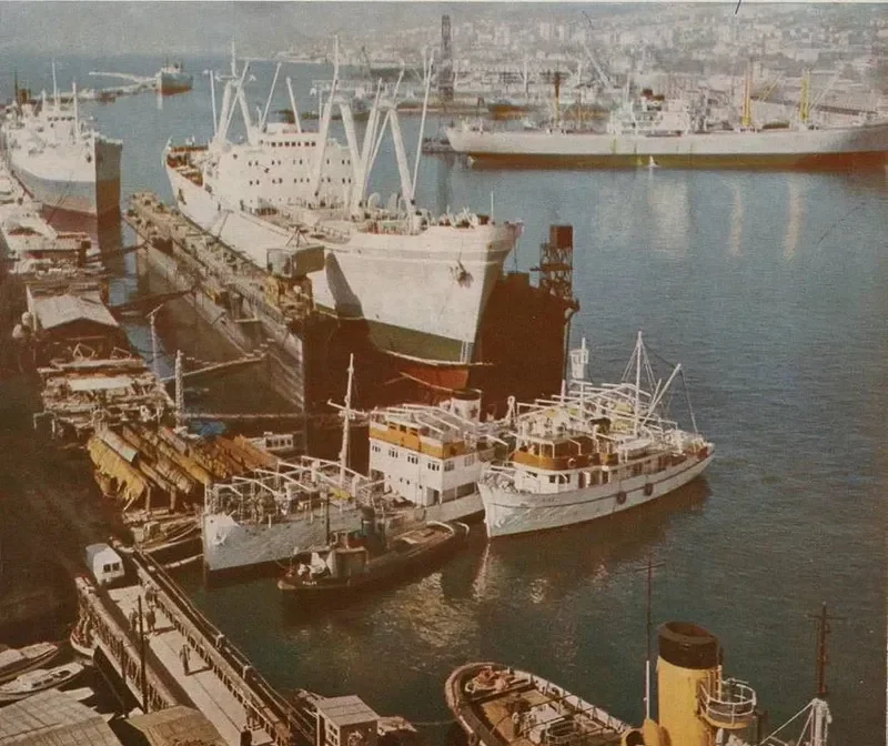 TRECI MAJ General Cargo IMO 5367908