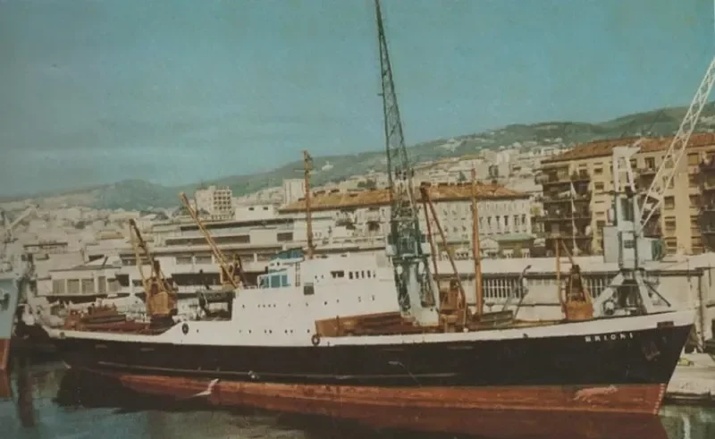 BRIONI General Cargo IMO 5371260