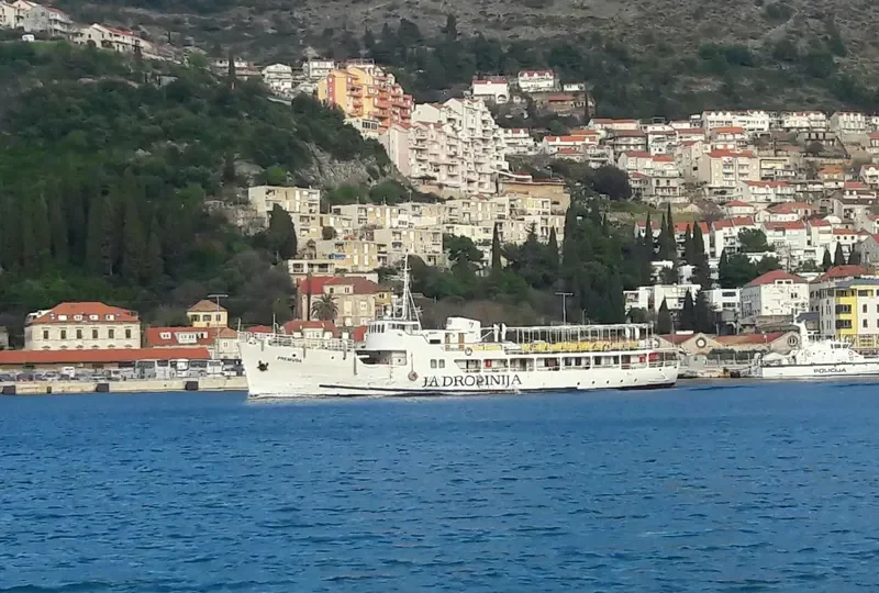 PREMUDA Passenger Ship IMO 5371387 photo 3