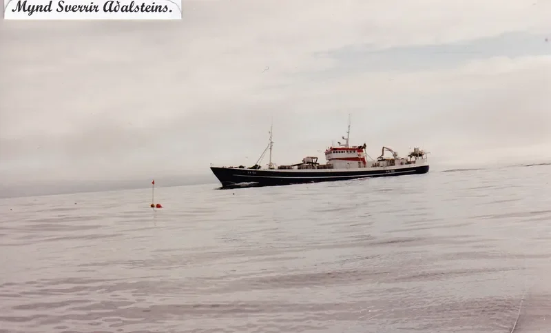 VIKINGUR General Cargo IMO 5380417