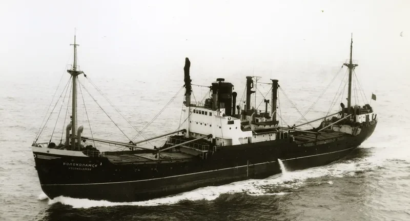 VOLO General Cargo IMO 5383433