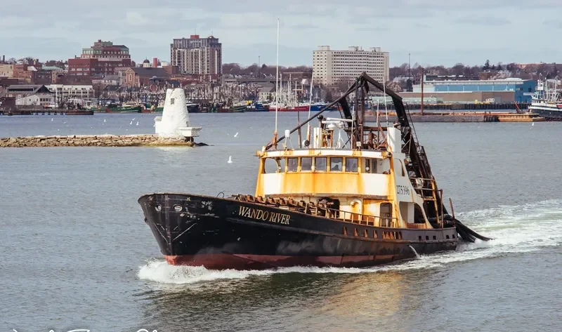 WANDO RIVER General Cargo IMO 5385948