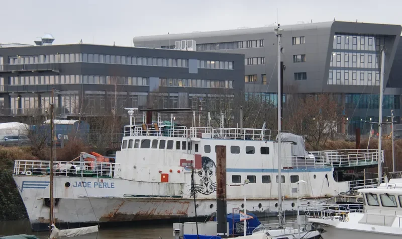 JADE PERLE Passenger Ship IMO 5386021