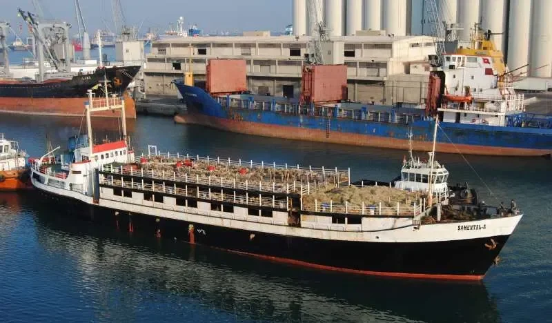 SAMENTAL A General Cargo IMO 5387831