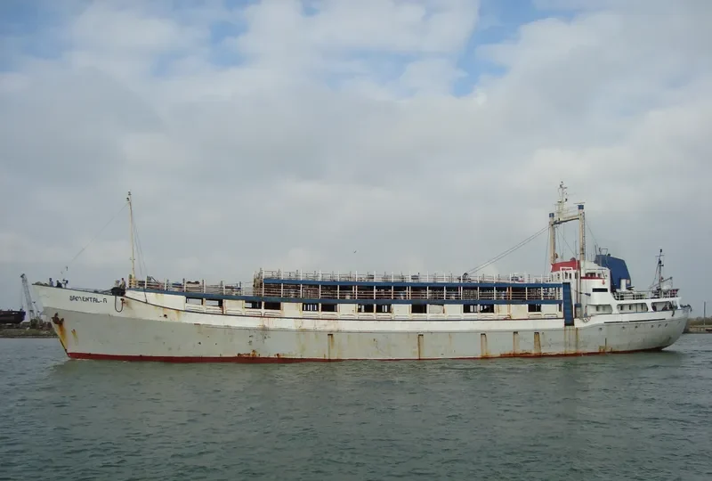 SAMENTAL A General Cargo IMO 5387831 photo 2