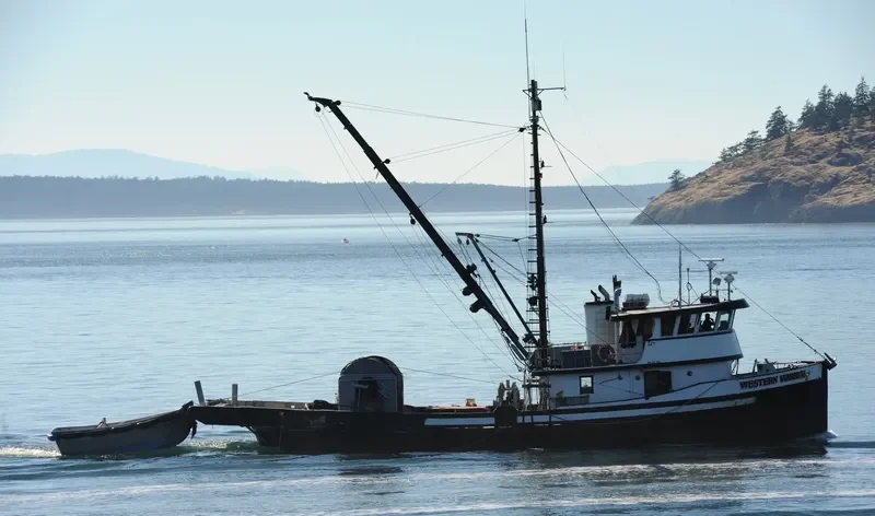 WESTERN WARRIOR General Cargo IMO 5388328