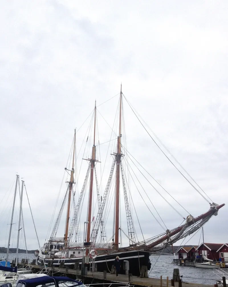 WESTKUST General Cargo IMO 5388500 photo 9
