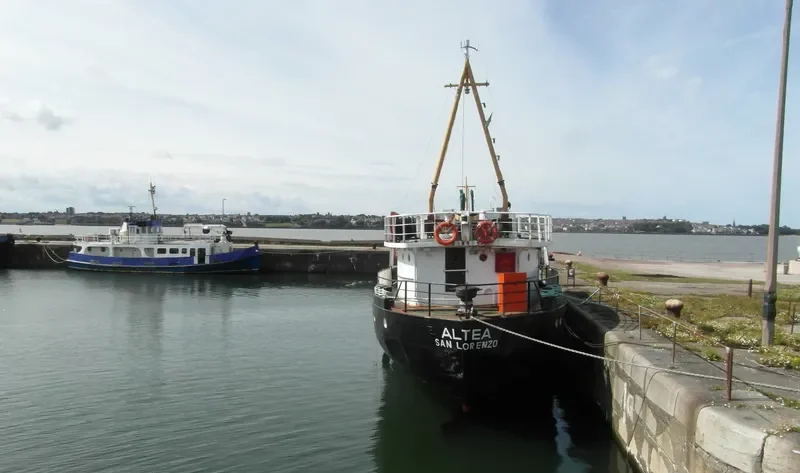 ALTEA General Cargo IMO 5388512 photo 4
