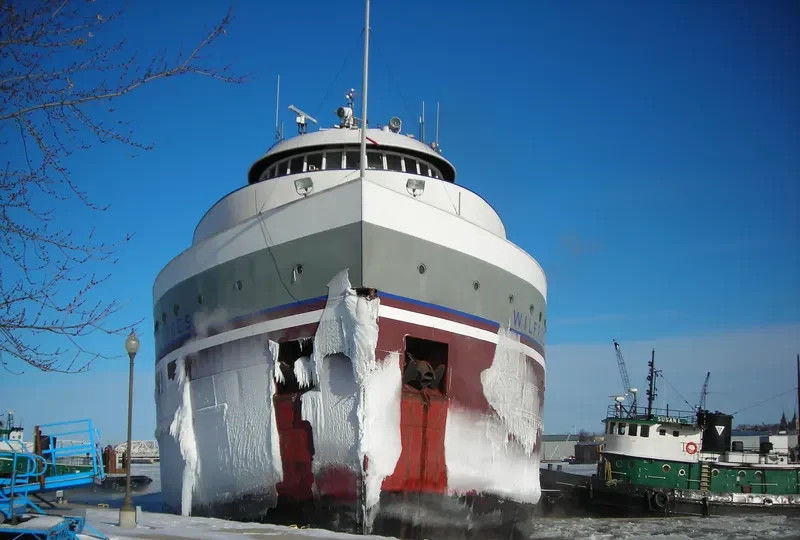 WILFRED SYKES Bulk Carrier IMO 5389554
