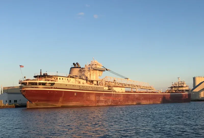WILFRED SYKES Bulk Carrier IMO 5389554 photo 2