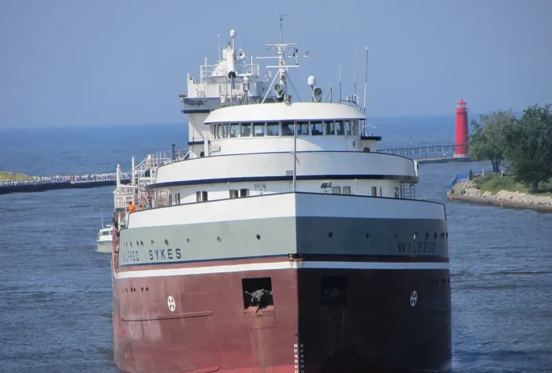 WILFRED SYKES Bulk Carrier IMO 5389554 photo 7