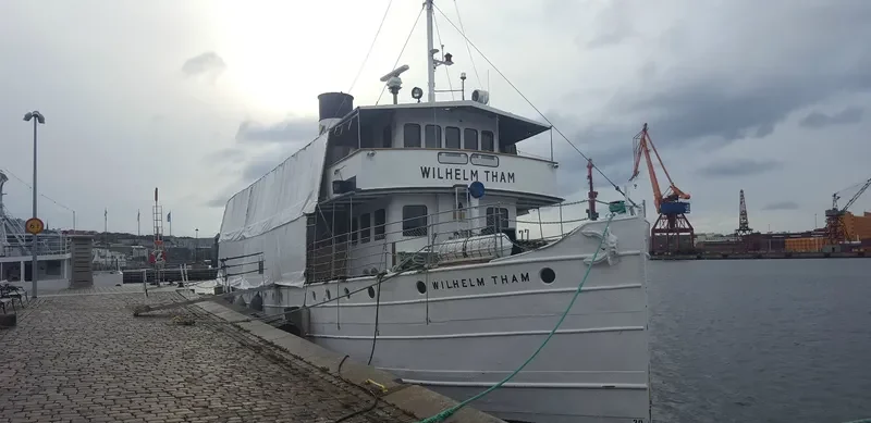 WILHELM THAM Passenger Ship IMO 5389671 photo 6