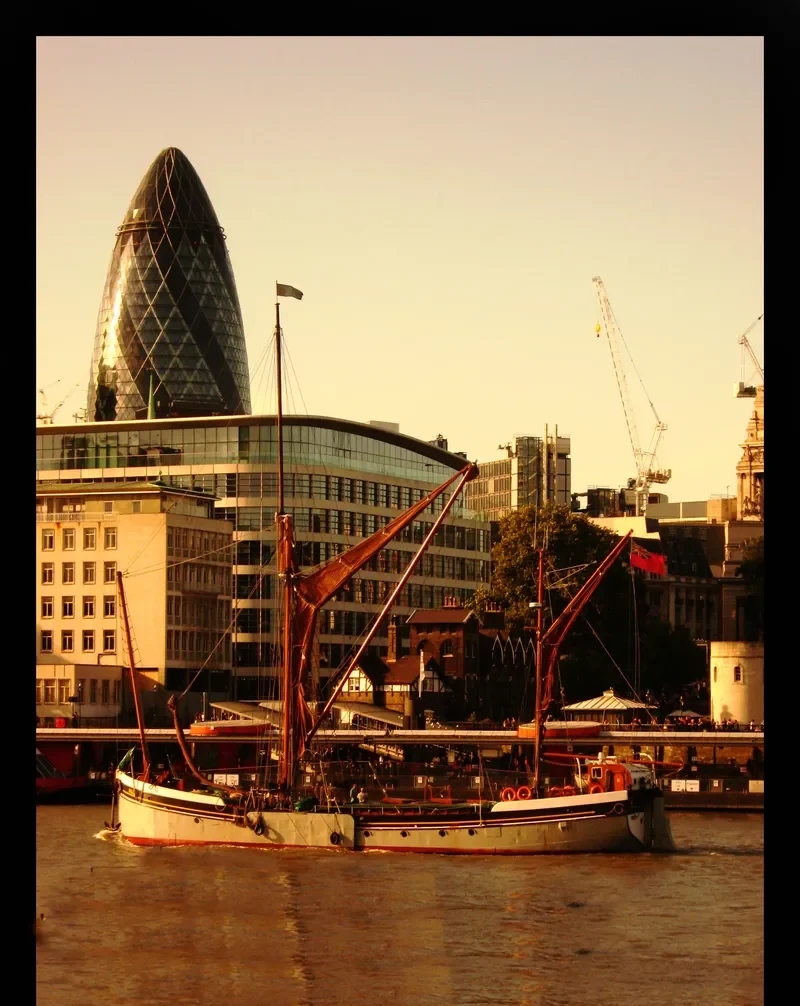 WILL General Cargo IMO 5389841 photo 7