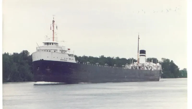 BIRCHGLEN Bulk Carrier IMO 5391076