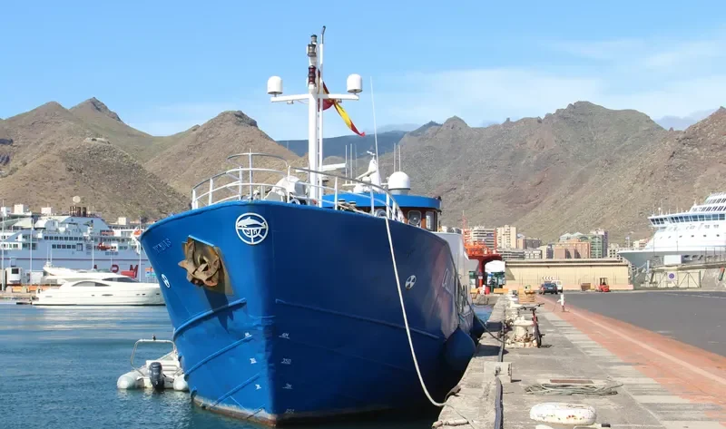 MYNIAS General Cargo IMO 5392214 photo 3