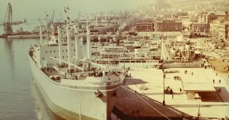 ZETA General Cargo IMO 5398634