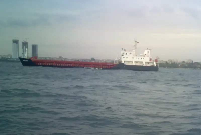 ANGELINA General Cargo IMO 5400865