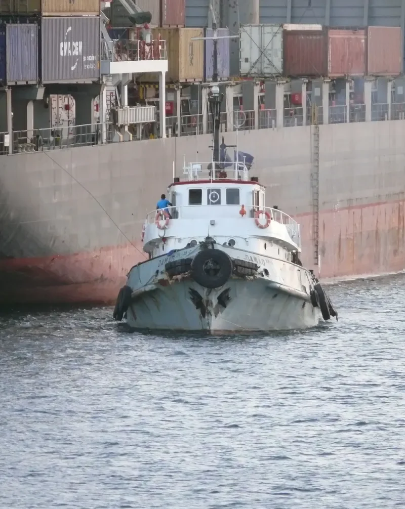 DAMAO General Cargo IMO 5403051 photo 3