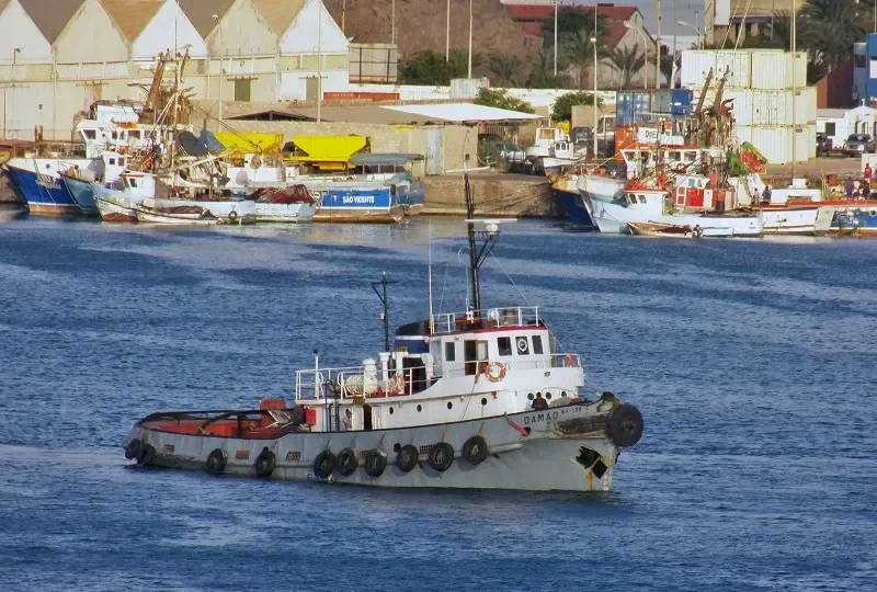 DAMAO General Cargo IMO 5403051 photo 9