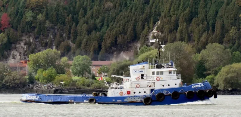 ANDRE H. General Cargo IMO 5404172 photo 3
