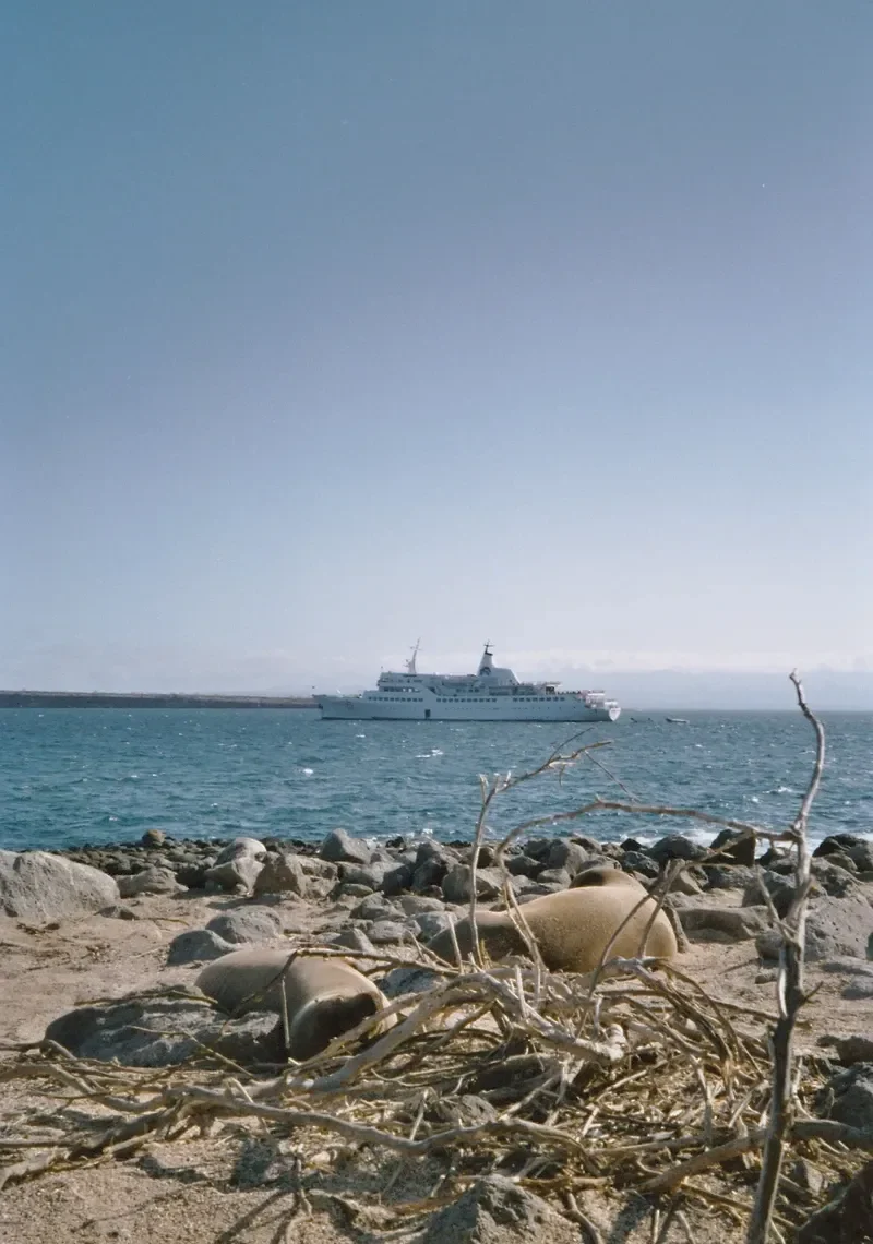 GALAPAGOS LEGEND Passenger Ship IMO 5404964 photo 5