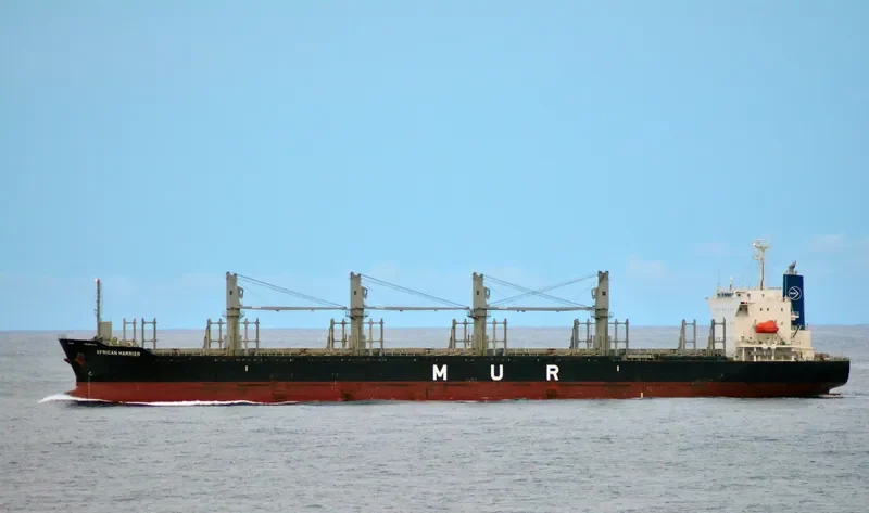 THILDA Bulk Carrier IMO 5405554