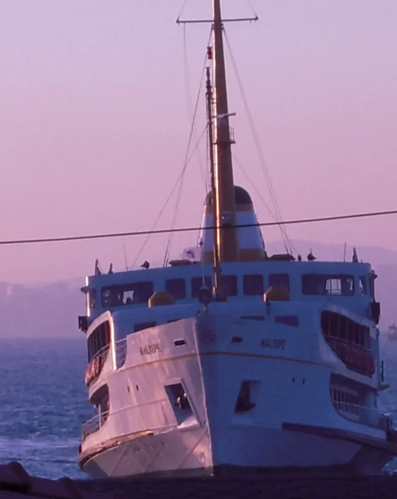 MALTEPE Passenger Ship IMO 5406754 photo 3