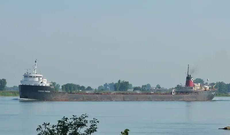 OVI Bulk Carrier IMO 5407277 photo 5
