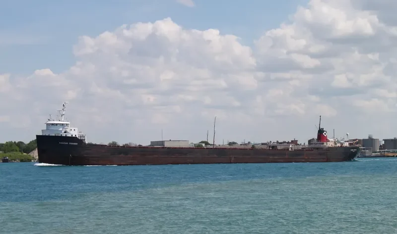 OVI Bulk Carrier IMO 5407277 photo 8