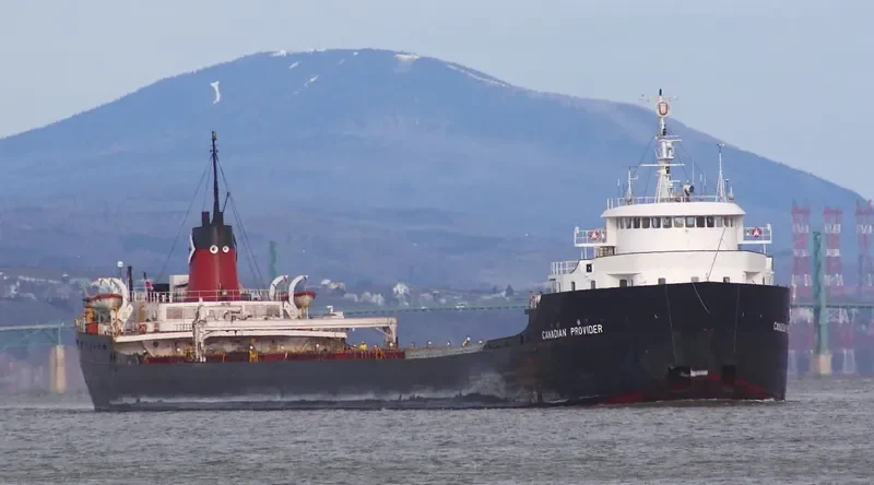 OVI Bulk Carrier IMO 5407277 photo 9