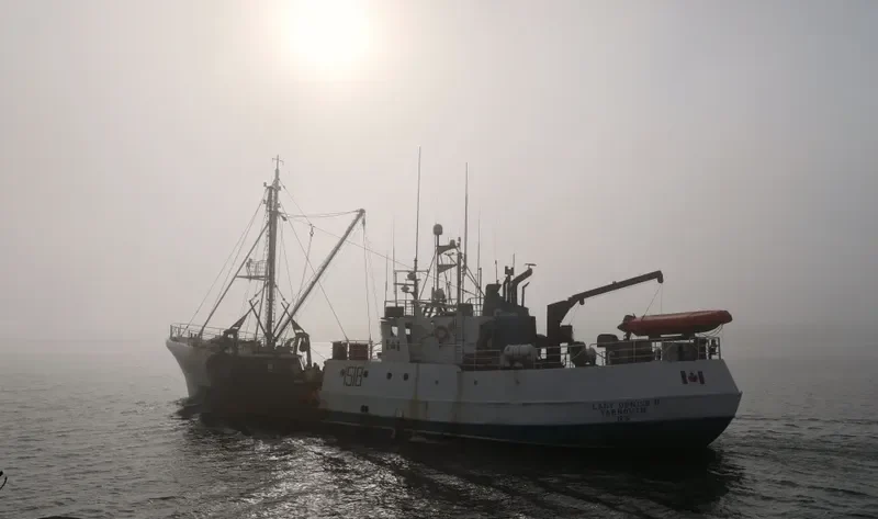 LADY DENISE II General Cargo IMO 5423788 photo 6