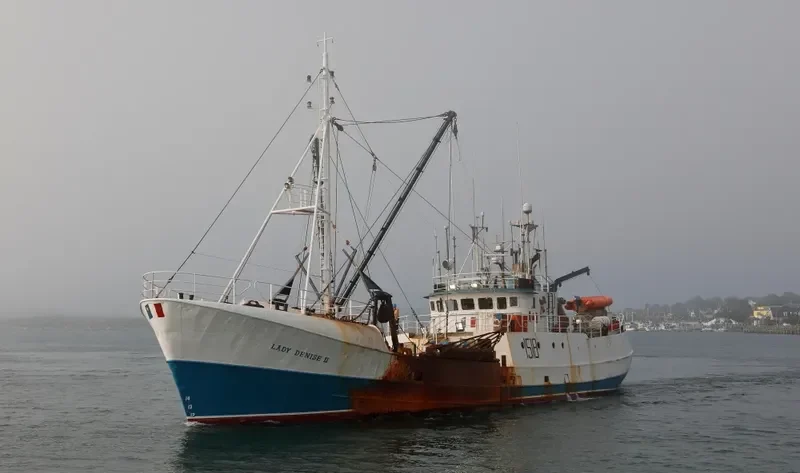 LADY DENISE II General Cargo IMO 5423788 photo 8